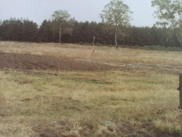 Działka Na Sprzedaż–bory Tucholskie–osowo Leśne. 3