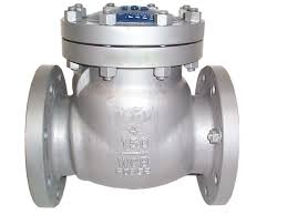 Check Valves In Kolkata