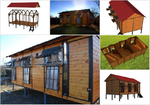 Gołębnik Solidny Wloty Przegrody Wymiar 200x600