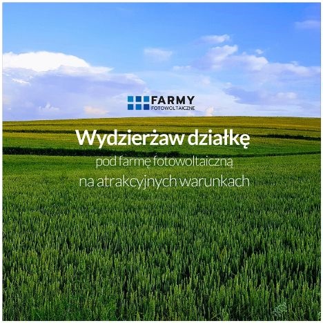 Wydzierżawię Działkę Pod Farmę Fotowoltaiczną