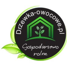 Drzewa Ozdobne