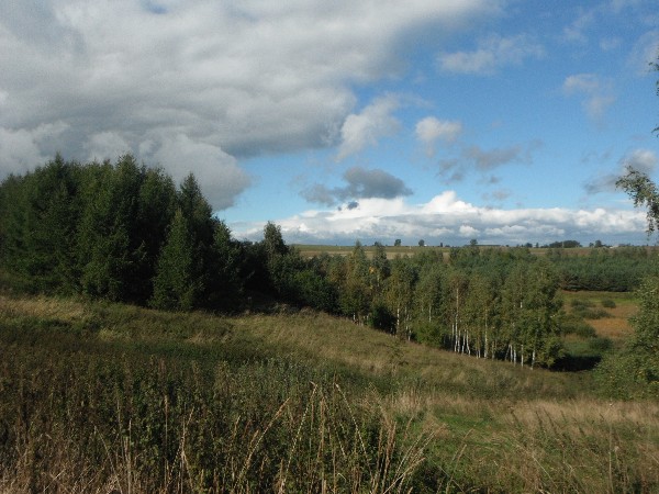 6 Ha Z Możliwością Zabudowy, Uzbrojona 2