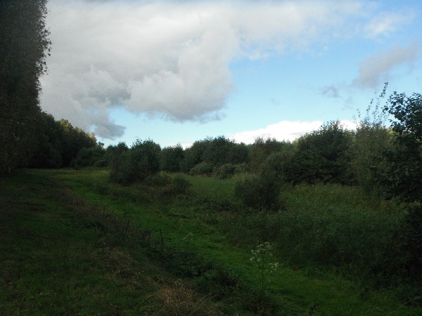 6 Ha Z Możliwością Zabudowy, Uzbrojona 3