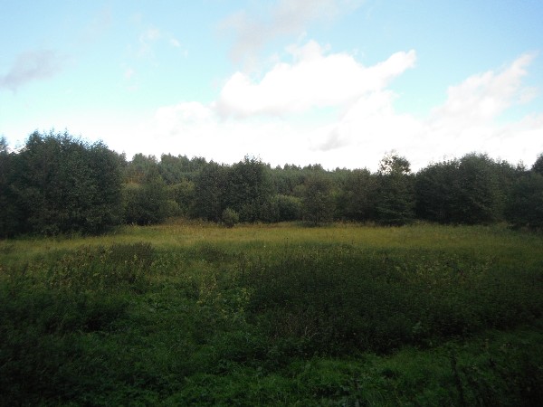 6 Ha Z Możliwością Zabudowy, Uzbrojona 4