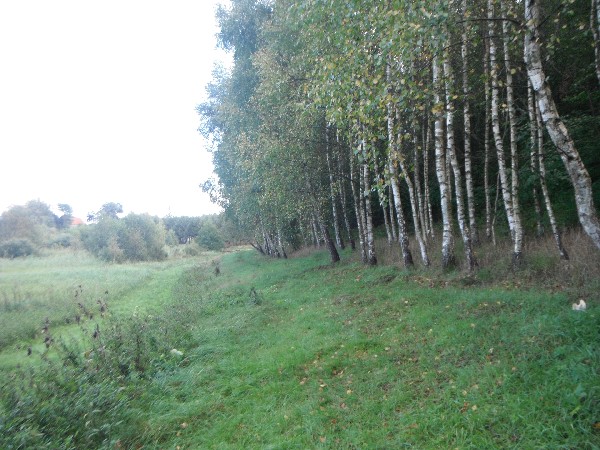 6 Ha Z Możliwością Zabudowy, Uzbrojona 5